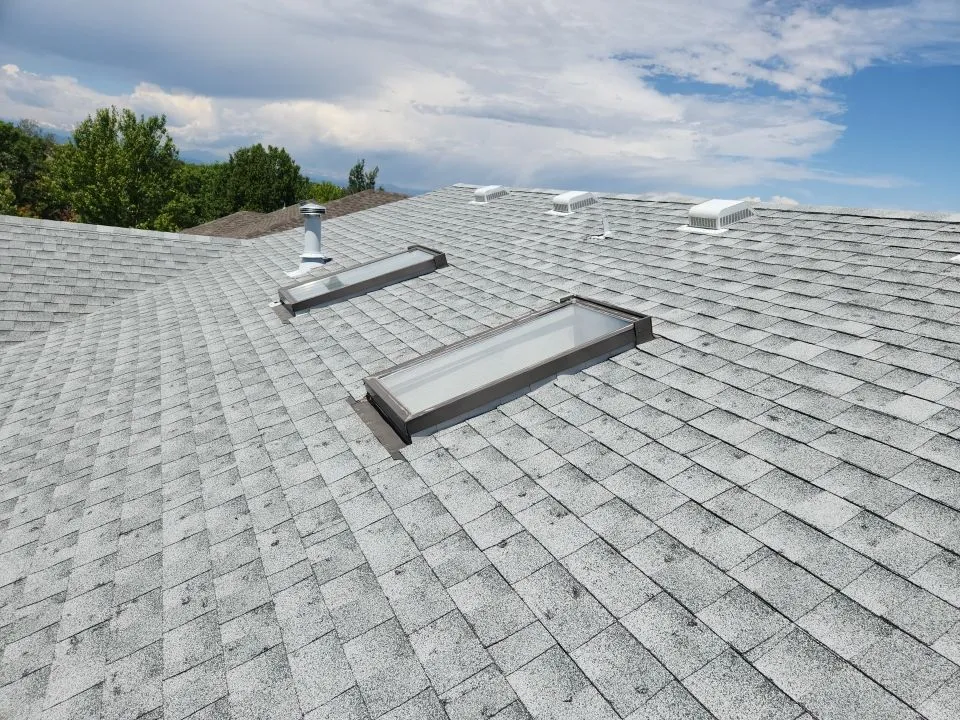 Skylight Replacement